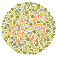 Color Blind Test - lovelanguagetest.org